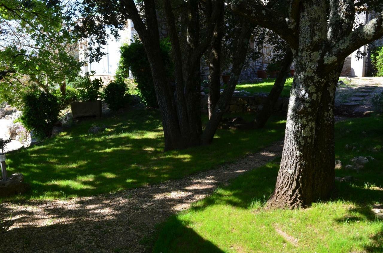 Sous Les Chenes * Lussan (Gard)